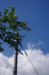 夏の空のように