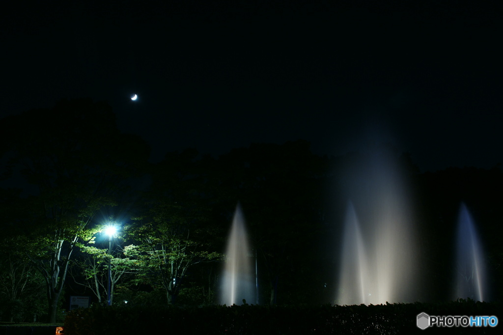 月夜に浮かぶ