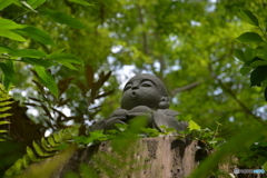 森の人