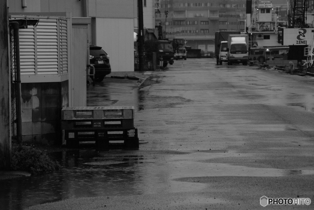 雨の港