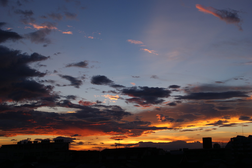 夏の夕焼け・・・