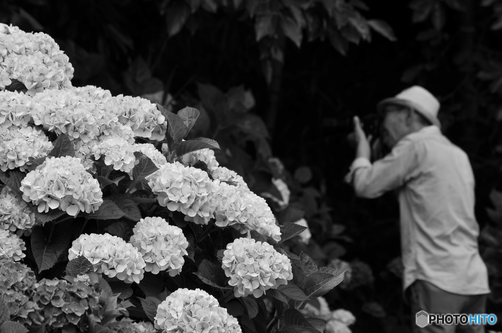 photographer