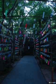 風鈴参道