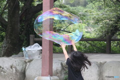 つかまえたっ！