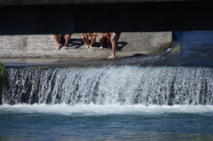 水遊び