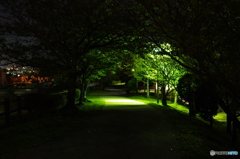 yomichi 2