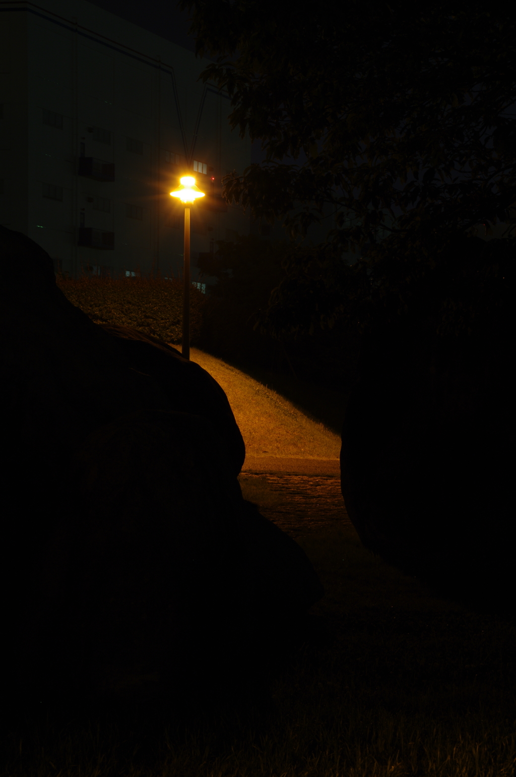 みなと公園夜道