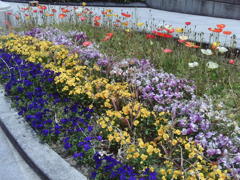 花壇