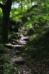 森の細道