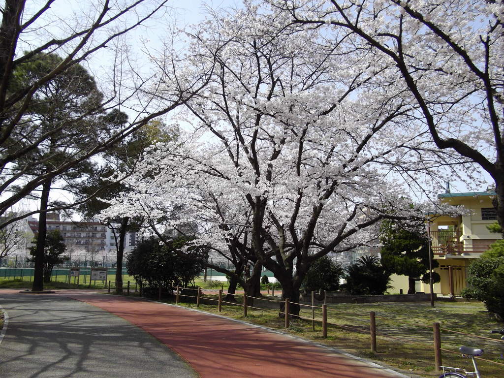 山王公園