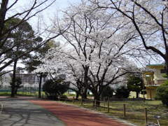山王公園