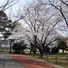 山王公園