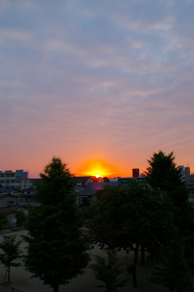 夕陽