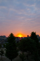 夕陽