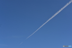空高く・・・飛行機雲