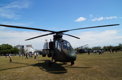 自衛隊基地祭り