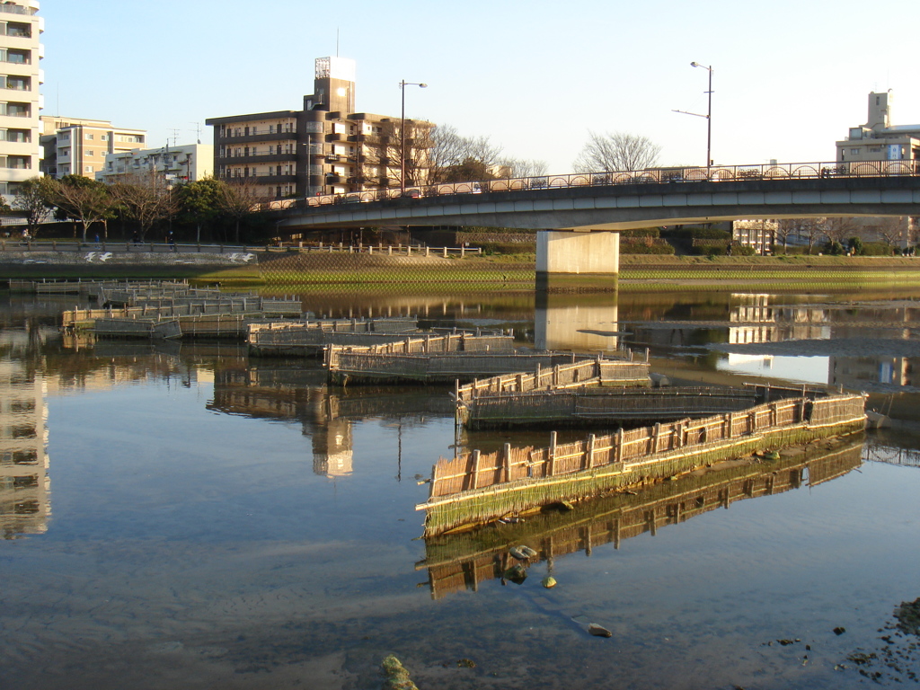 室見川白魚仕掛け By 幻視人 Id 写真共有サイト Photohito