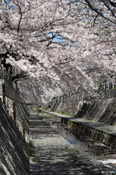 水路道