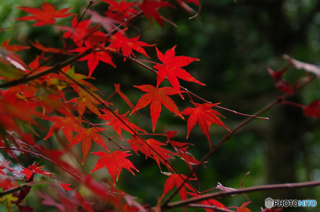 晩秋の淦