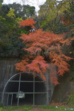 旧トンネル