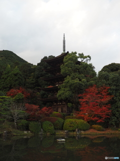 瑠璃光寺五重塔