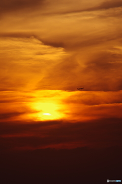 夕陽を背に