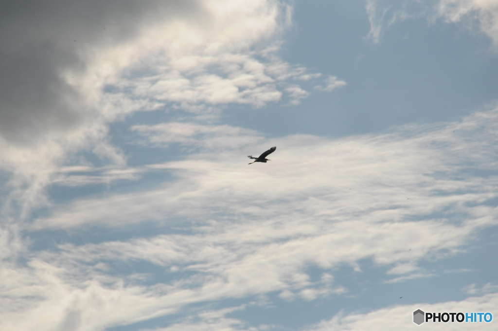 Air