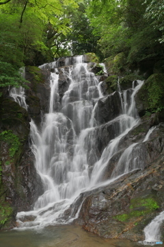白糸の滝