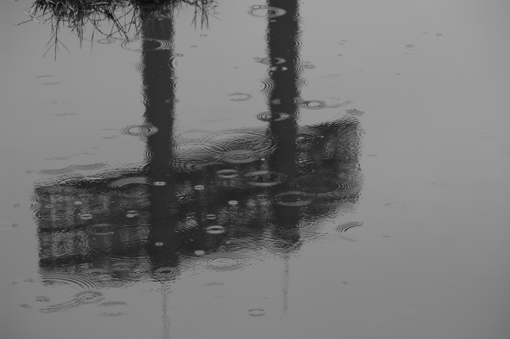 雨音