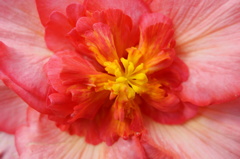 DSC00102