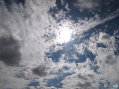 SUNフラッシュ！