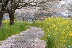 花道