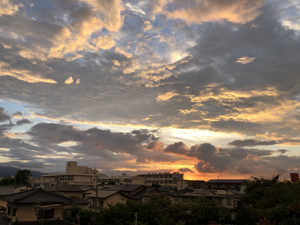 夏休みが過ぎて行く