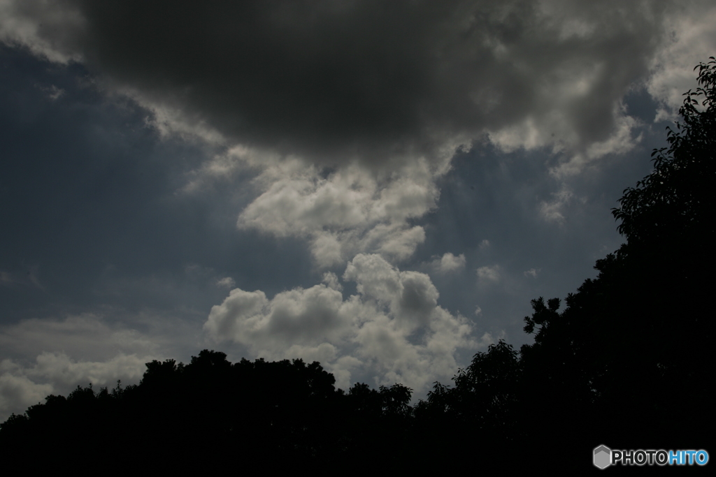 雨傘雲