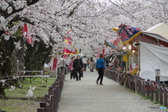 花吹雪