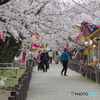 花吹雪