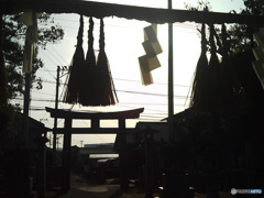 酒殿神社参道