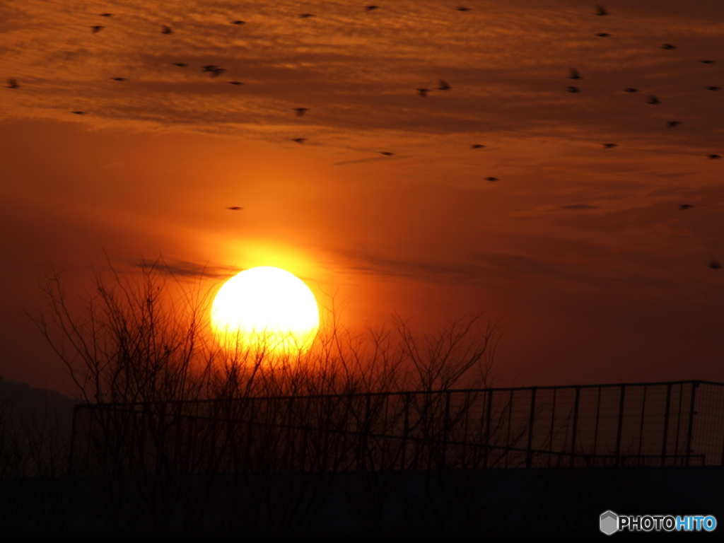 夕時