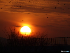 夕時