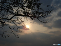 no sunset