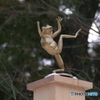 喜踊蛙
