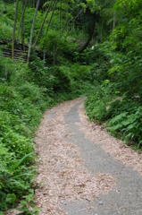 山道２
