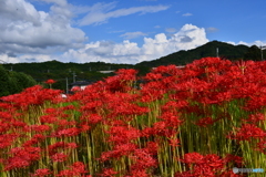 秋晴れ