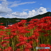 秋晴れ