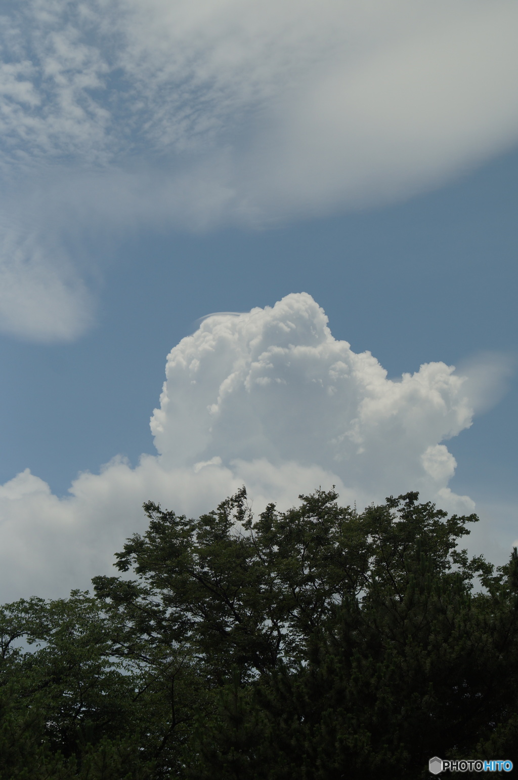 夏雲