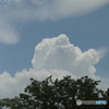 夏雲