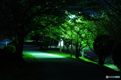yomichi 1