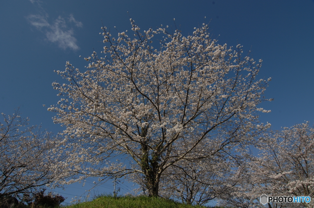 晴天の空に By 幻視人 Id 写真共有サイト Photohito 晴天の空に By 幻視人 Id 写真共有サイト Photohito