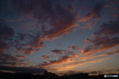 Autumnsky②