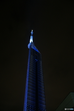 福岡タワーin夜景
